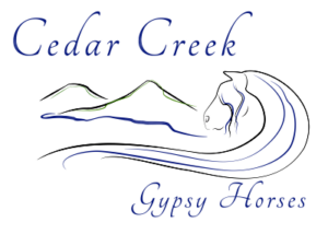 Cedar Creek Gypsy Horses