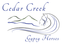 Cedar Creek Gypsy Horses